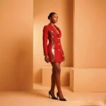 Golden Ember Dress - Image 2